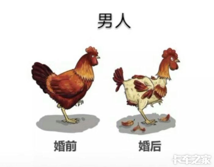 男人女人婚前婚后的变化