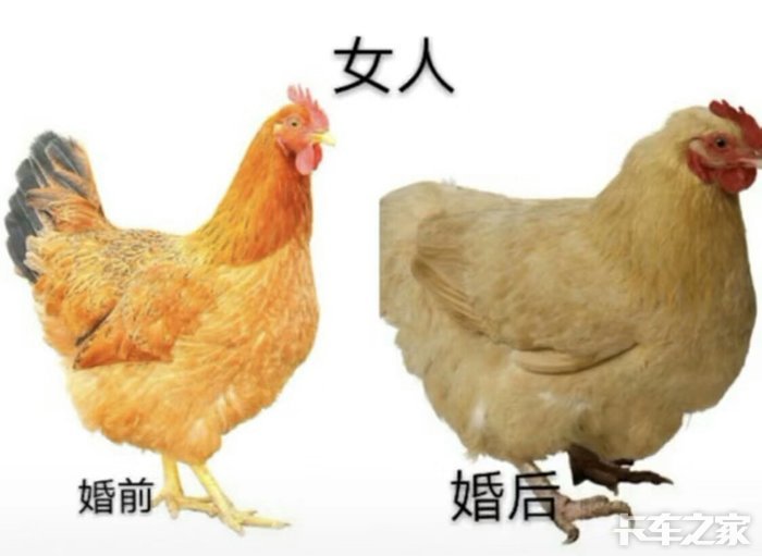男人女人婚前婚后的变化