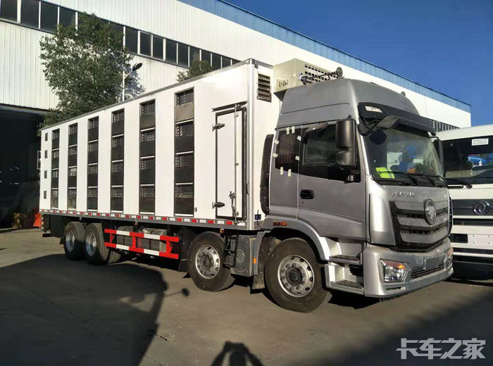 拉猪车 有要的吗? [复制链接]专属论坛:福田欧曼