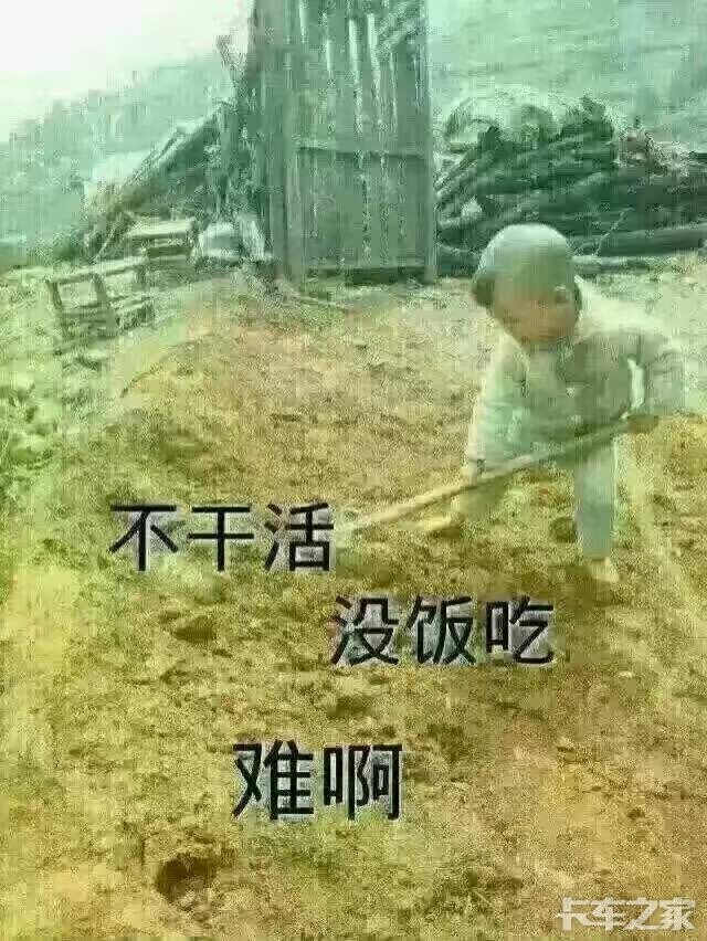 为了生活,四处奔波