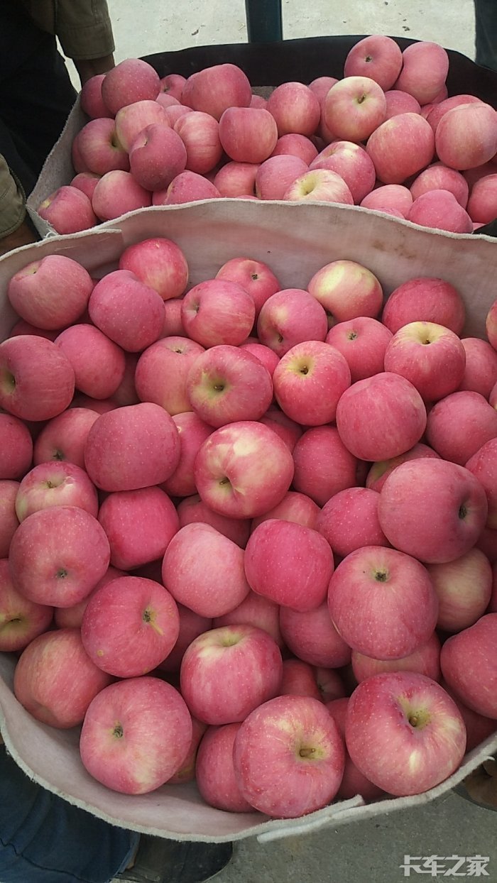 苹果一车