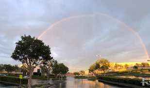 疫情肆虐洛杉矶我在家享受雨后彩虹