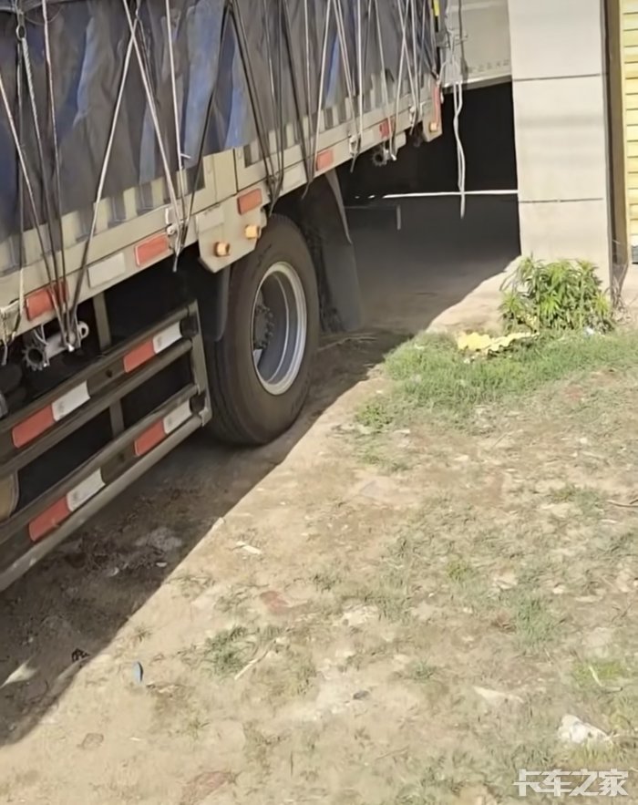 时代领航拉土鸡蛋