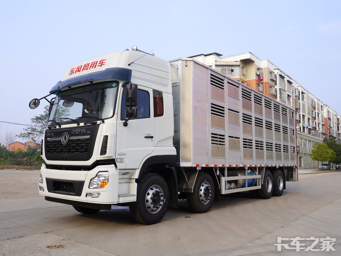 9米6东风天龙畜禽拉猪车猪仔车
