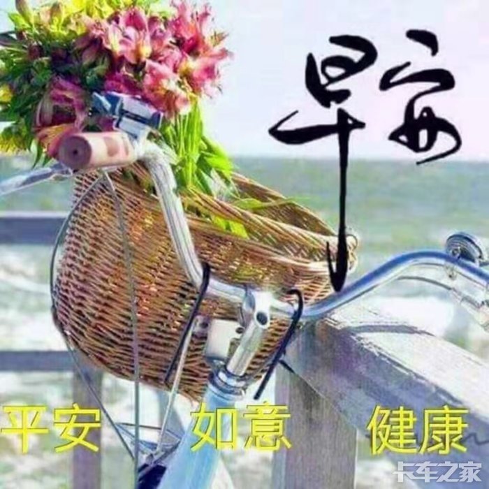 早上好