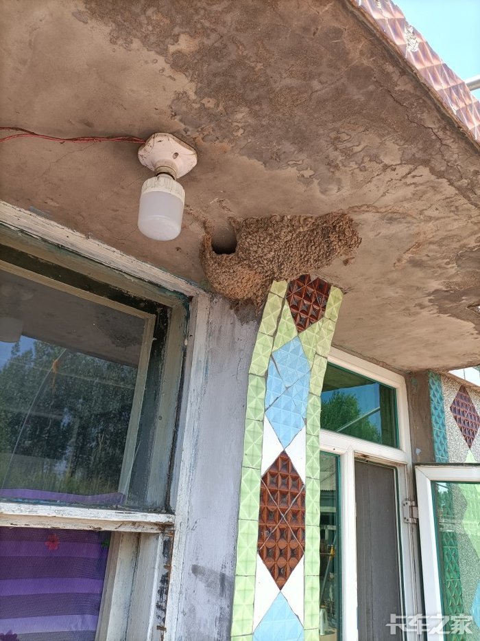 入户门上方的雨搭有个小燕子垒的窝