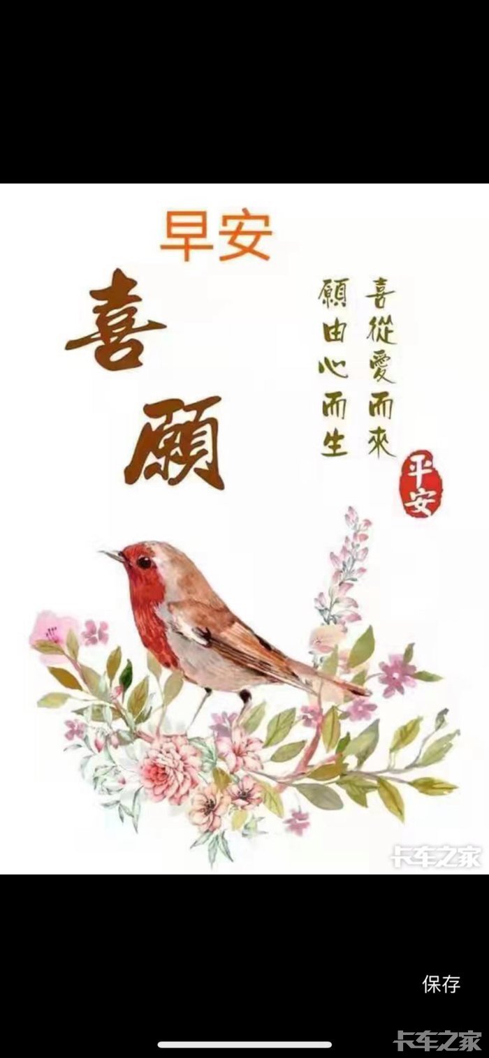 早上好