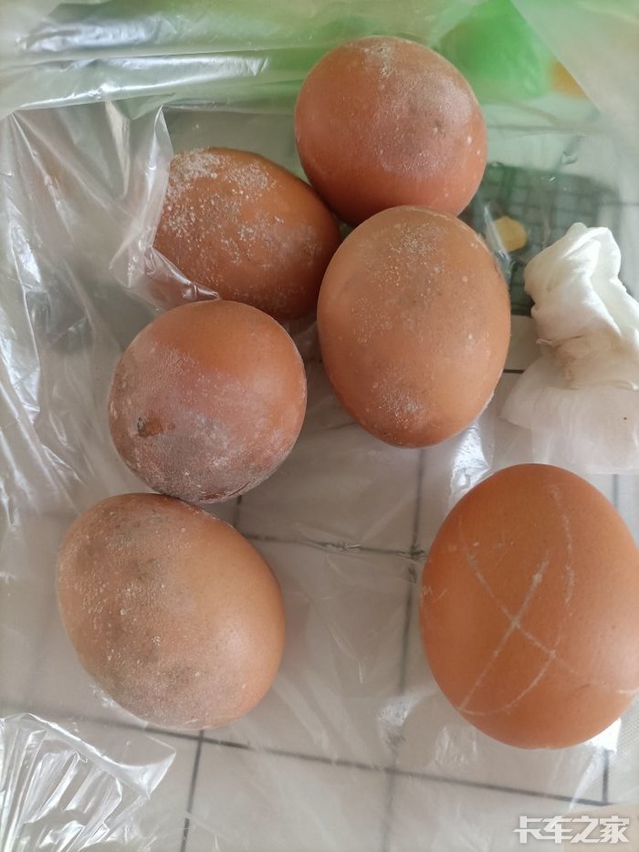 这是老婆走之前买的鸡蛋已经长毛了一个