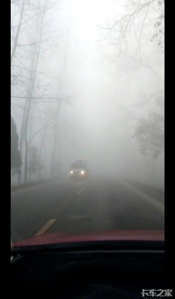  大 雾 天 怎 么 安 全 行 车！
